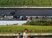 Tradisi Belukbuk Kembali Ramai, Irigasi Telukjambe Dipadati Anak saat Libur Sekolah