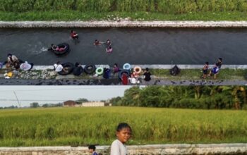 Tradisi Belukbuk Kembali Ramai, Irigasi Telukjambe Dipadati Anak saat Libur Sekolah