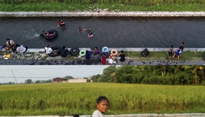 Tradisi Belukbuk Kembali Ramai, Irigasi Telukjambe Dipadati Anak saat Libur Sekolah