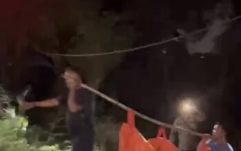 Mayat di Area Persawahan Cikampek Sudah Dievakuasi, Polisi Periksa Saksi dan TKP