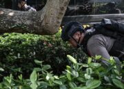 Ancaman Bom Hentikan MPLS di SDN Srengseng Sawah 15, Pelaku Ternyata Orang Tua Murid