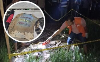 Geger! Jasad Pria Misterius Ditemukan di Area Persawahan Cikampek Karawang