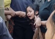 Diduga Curi Ayam Aduan, Pria Tewas Dikeroyok Massa di Bali