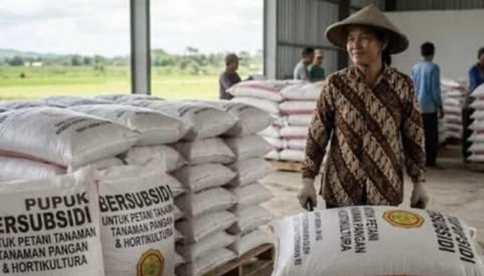 Jelang Musim Tanam Ketiga, Stok Pupuk Subsidi Karawang Capai 4.829 Ton