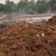 Pemdes Pangulah Selatan Tata Bekas Lokasi Sampah, 5 Truk Tanah Merah Digunakan