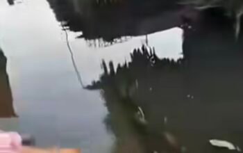 Air Irigasi Meluap, Sejumlah Rumah Warga Kutakarya Terendam