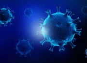 Kasus Influenza dan ISPA di Karawang Capai 3.876 hingga Oktober 2026