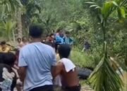 Geger! Buaya Berukuran Raksasa Ditangkap Warga di Kutai Kartanegara