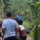 Geger! Buaya Berukuran Raksasa Ditangkap Warga di Kutai Kartanegara