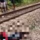 Tragis! Pasutri Tewas Tertabrak Kereta di Perlintasan Warung Bambu Klari