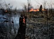 Jepang Akhiri Misi Pemadaman Karhutla di Kalimantan, Ini Alasannya