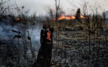 Jepang Akhiri Misi Pemadaman Karhutla di Kalimantan, Ini Alasannya