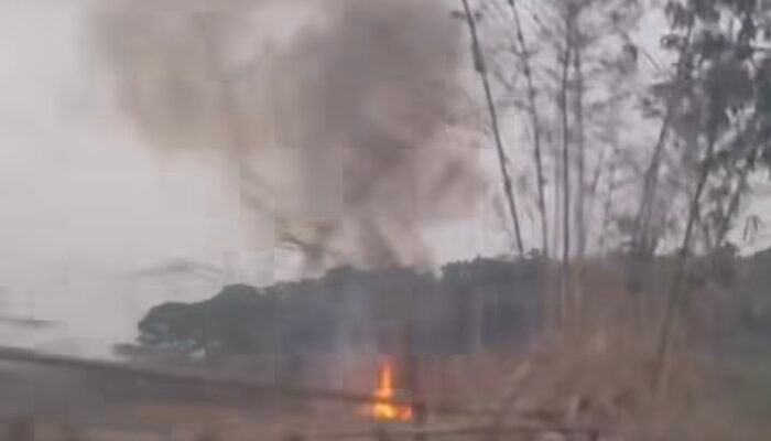 Kebakaran Melanda Hutan Kamojing, Ini Penyebabnya