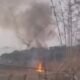 Kebakaran Melanda Hutan Kamojing, Ini Penyebabnya