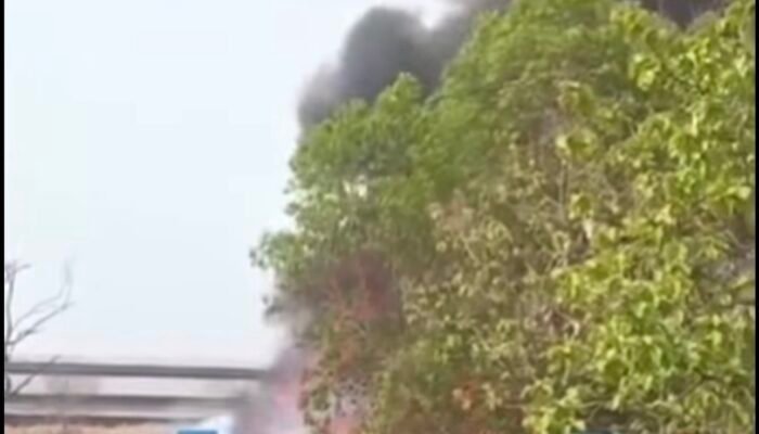 Lahan Kosong Dekat PT Hexing Technology Karawang Terbakar, Begini Kondisinya